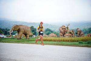 BIB: 
                            <button type="button" onclick="openModal(22401603)" class="btn btn-primary btn-sm float-right btn-popup" data-toggle="modal" data-target=".modal-high-quality">
                        <i class="fas fa-shopping-cart"></i> Add to Cart
                    </button>
                                            <button type="button" onclick="isThisMe(22401603, true)" class="btn btn-success btn-sm float-right btn-popup btn-isme hidden" data-toggle="tooltip" data-placement="bottom" title="นี่คือรูปของคุณใช่ไหม คลิกที่นี่เพื่อเอาเข้าอัลบั้ม">
                        <i class="fas fa-plus"></i> Add to album
                    </button>
                    <button type="button" onclick="isThisMe(22401603, false)" class="btn btn-warning btn-sm float-right btn-popup btn-isnotme hidden">
                        <i class="fas fa-ban"></i> Remove from album
                    </button>